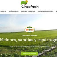 cincofresh