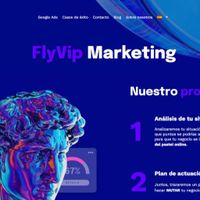 flyvipmarketing