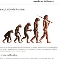 evolucionhombre